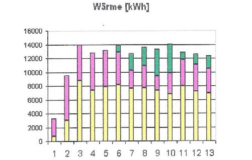 Energiemix aus Sonne, Propangas und Holz